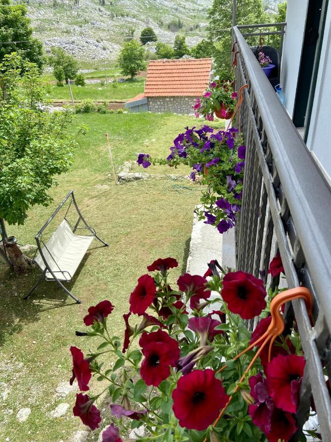 Guest House Markovic Lovcen Cetinje Buitenkant foto