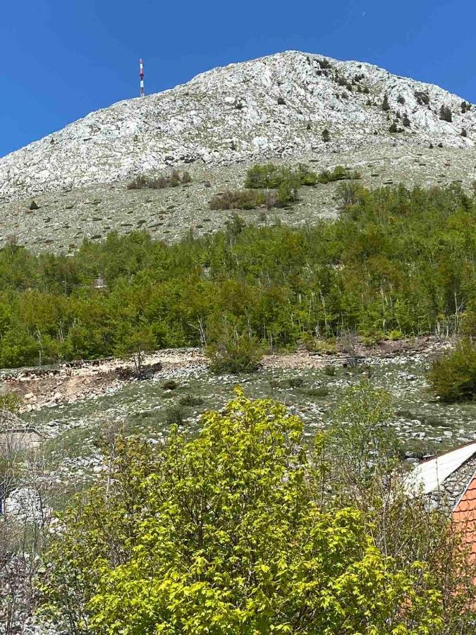 Guest House Markovic Lovcen Cetinje Buitenkant foto