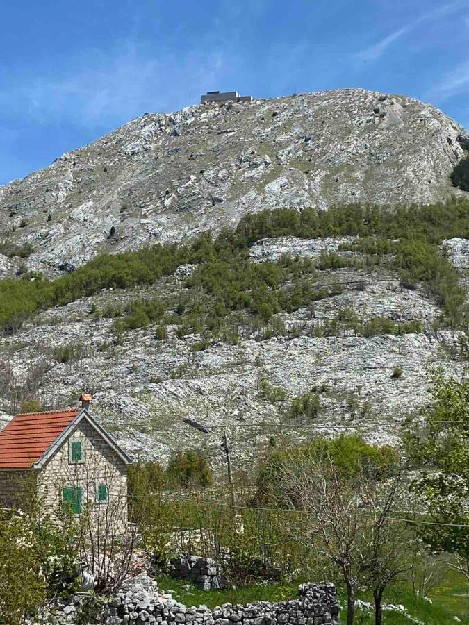 Guest House Markovic Lovcen Cetinje Buitenkant foto